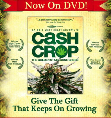 Cash Crop Movie